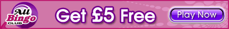 Bingo Fantasy has $5 free for you!
